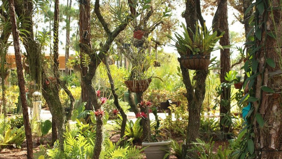 Port St. Lucie Botanical Gardens, United States